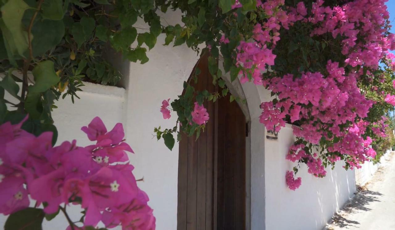 Alexiszorba Villa Plaka  Exterior photo